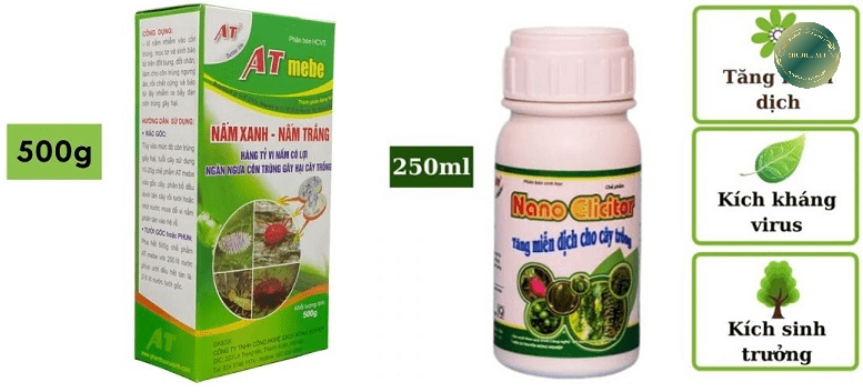 Thuốc đặc trị bệnh xoắn lá trên mai vàng.